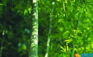收藏！30首夏日诗词，人间最美是初夏！