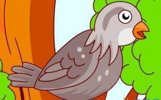 伊索寓言:斑鸠与人的故事