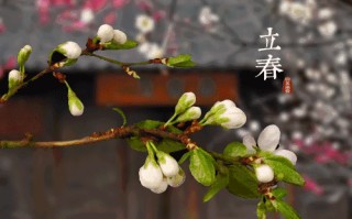 立春为什么会有咬春的习俗?