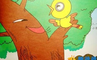 小鸟和去年的树
