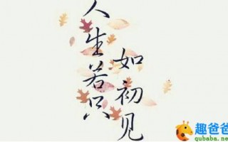 人生若只如初见何事秋风悲画扇