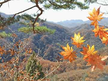 《悟空传》读书笔记与心得感悟，我要这天，再遮不住我眼