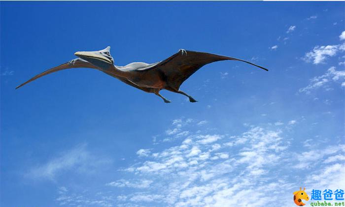 传奇故事：飞向蓝天的恐龙