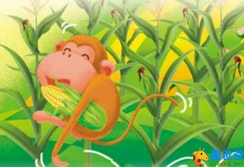 小猴子藏玉米