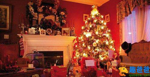 圣诞节的故事里为什么会有圣诞树呢？