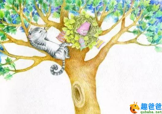 住在树上的猫